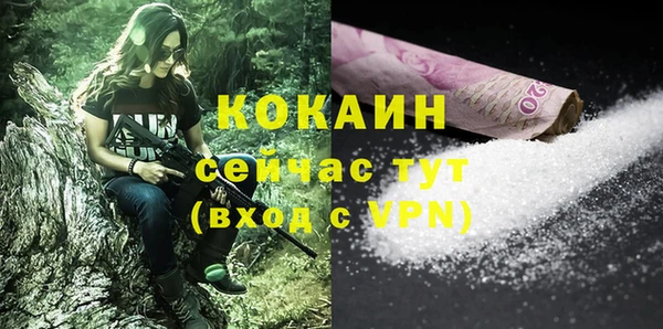 apvp Няндома