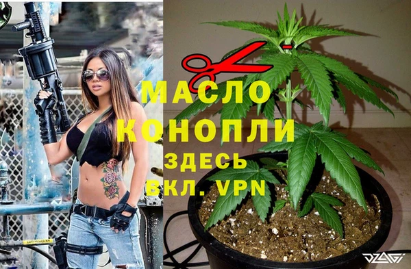 apvp Няндома