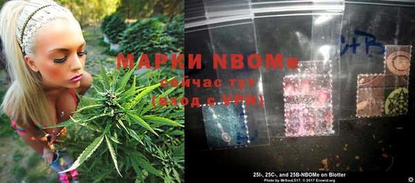 apvp Няндома